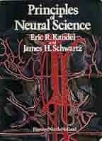 Principles of Neural Science， Fifth Edition (Principles of Neural Science (Kandel)) Principles of Neural Science, Fifth Edition by Eric R